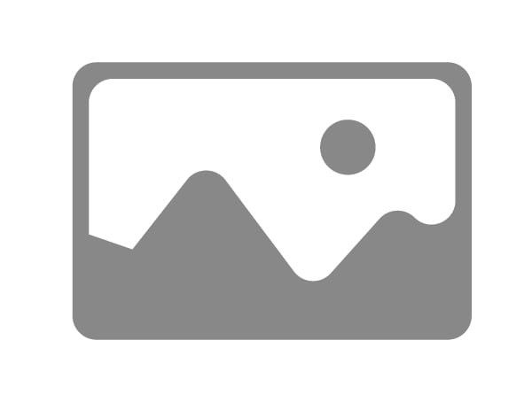  Reservewieltje Silberschnitt type 400, 1 stuk